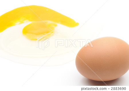 Egg 2883690