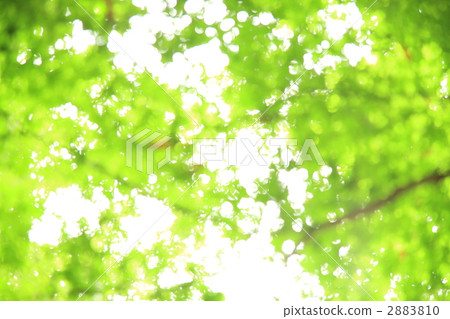 Kaito在京都高調2 2883810