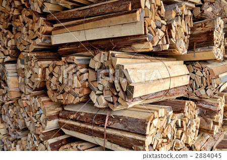 Firewood in the forest 2884045