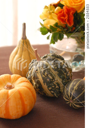 南瓜 生活事件 事件 2884883