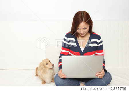 A dog and a student watching a computer with a sofa 2885756