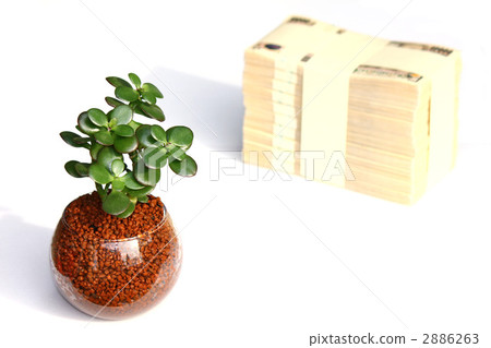 finance, roll of banknotes, gold mine 2886263