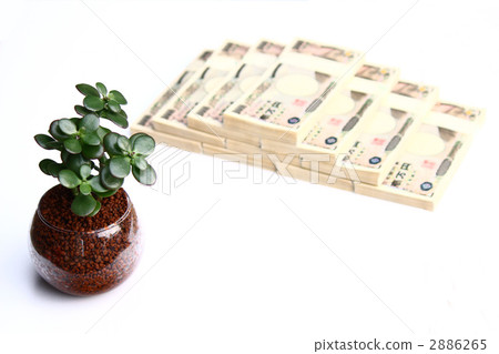 一疊鈔票 青鎖龍 財政 2886265