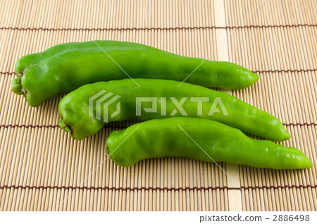 Sweet long bean sprout 2886498