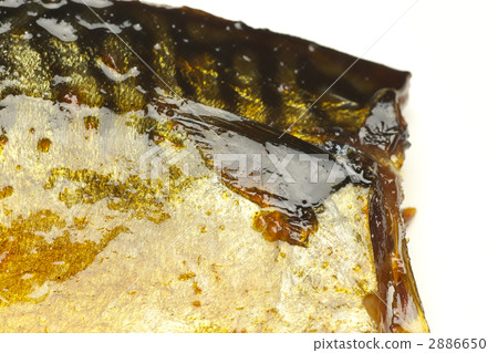 Boiled mackerel Boiled mackerel 2886650