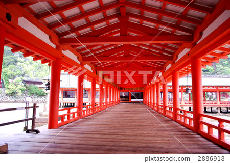 Itsukushima shrine  2886918