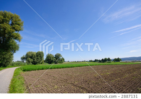 Germany Reichenau Island Germany Reichenau Island 2887131