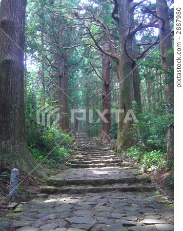 神聖的森林 2887980