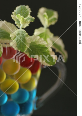 Pineapple mint and glass ball Pineapple mint and glass ball 2888264