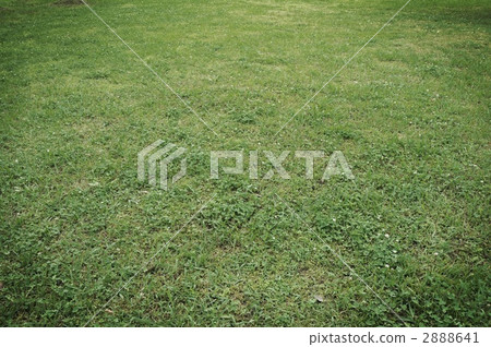 草地 草坪 木材背景 2888641