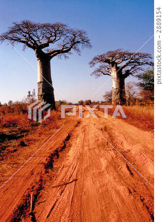 Laterite's tough road continues. Laterite's tough road continues. 2889154