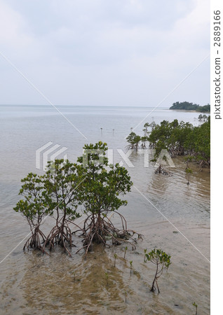 Hirugi社區 Hirugi社區 2889166