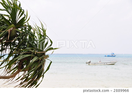 Beach in early spring Beach in early spring 2889966
