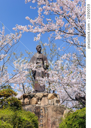 Takasugi Shinsaku statue and cherry blossoms at Hinwa-san Park 2890059