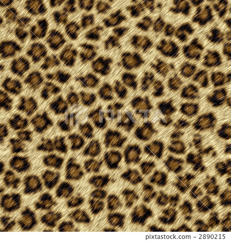 fur, leopard print, animal print 2890215