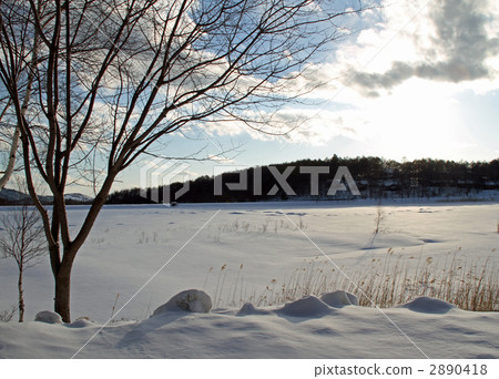 信州女神湖畔在冬天 信州女神湖畔在冬天 2890418
