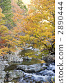 山溪 山澗 河流 2890444
