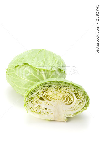 捲心菜 2892745