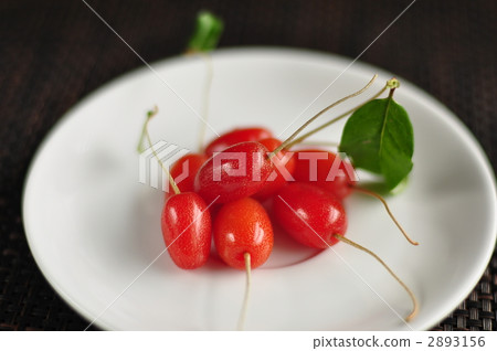 粘性水果 2893156