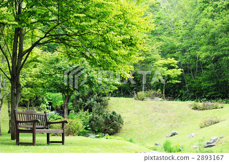 椅子在陰涼處 2893167