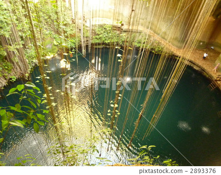 cenote, spring, springs 2893376