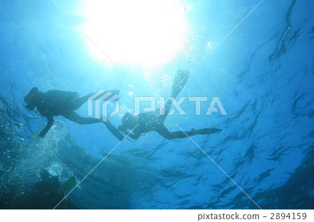 潛水員 跳水 潛水訓練 2894159