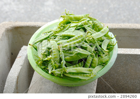 豌豆(綠豆莢） 法國菜豆 春蔬 2894260