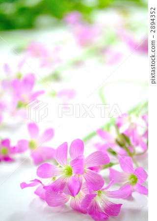 留白空間 留白部分 空白部分 2894352