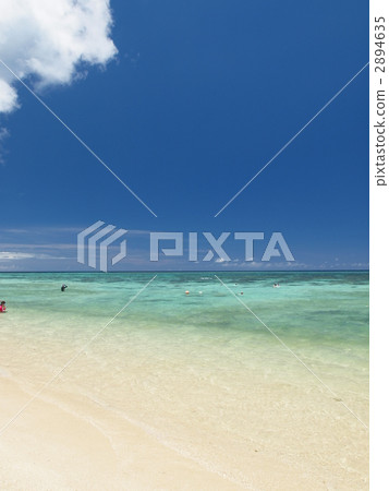 Miyakojima Shinshū Coast 2894635