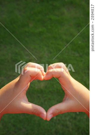 心型(垂直) 心型(垂直) 2894817