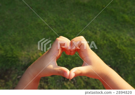 心型(中/小) 心型(中/小) 2894820