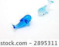 Dolphin 2895311