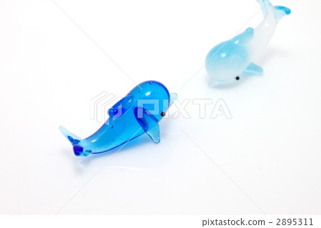Dolphin Dolphin 2895311