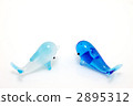 Dolphin 2895312