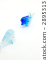 Dolphin 2895313