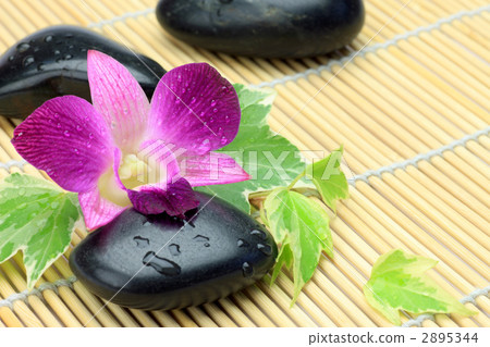 Flowers and stones Flowers and stones 2895344