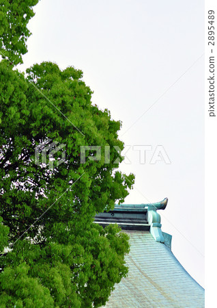 Meiji Jingu  2895489