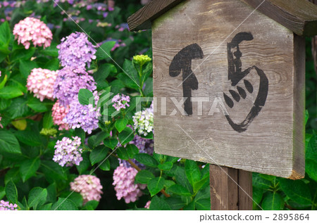 Stand-up bill 2895864