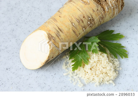 辣根辣根 辣根辣根 2896033
