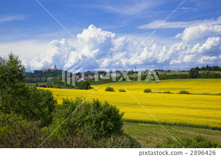 強姦花田在波希米亞地區 強姦花田在波希米亞地區 2896426