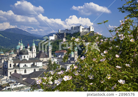 Salzburg City Salzburg City 2896576