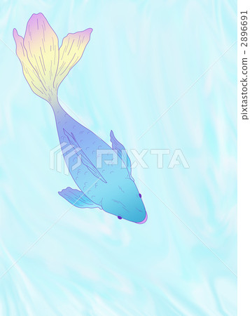 從上面看見的魚 2896691