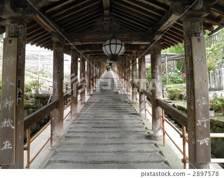 花寺Hase-dera邪惡 2897578