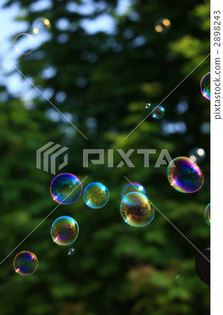 soap bubbles, soap bubble, forest 2898243