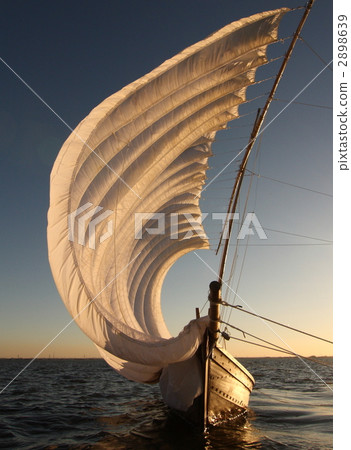 帆船染成金色 2898639