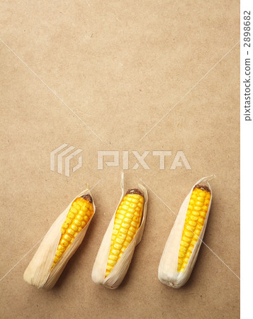 偽造 玉米 雜物 2898682