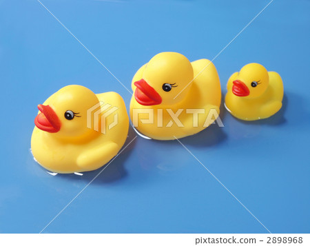 鴨子的父母和孩子 鴨子的父母和孩子 2898968