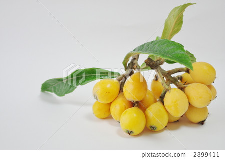 枇杷 食物 美食 2899411