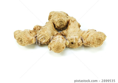 Domestic three provinces ginger · white back · horizontal position 2899535