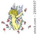 Flowers and fairies 2899597